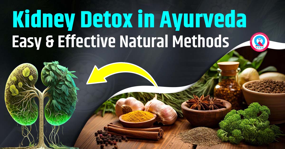 Kidney Detox in Ayurveda – Easy & Effective Natural Methods